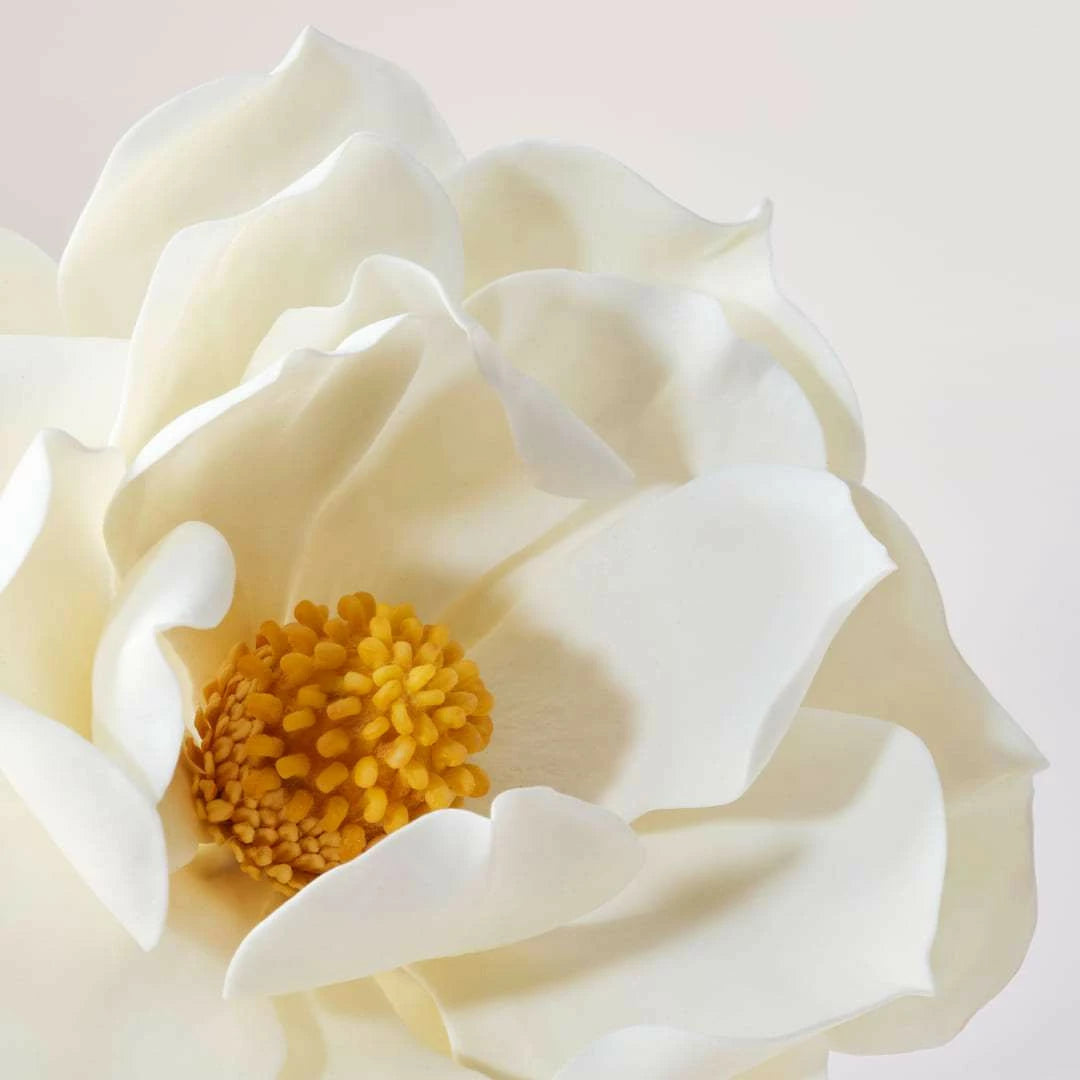 SUBLIMATING YOUTH CREAM