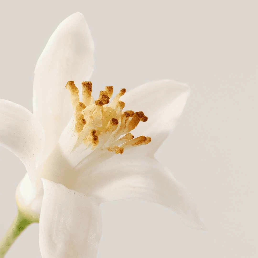 NEROLI D'ÉTÉ PERFUMED BODY MIST