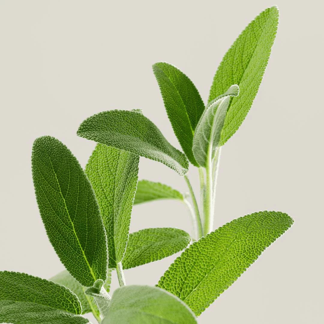 GENTLE BIOME-FRIENDLY SHAMPOO